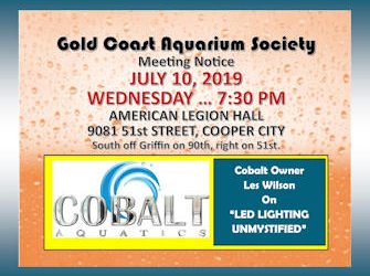 July 2019 Les Wilson is a life long hobbyist and one of the founding partners of Cobalt Aquatics