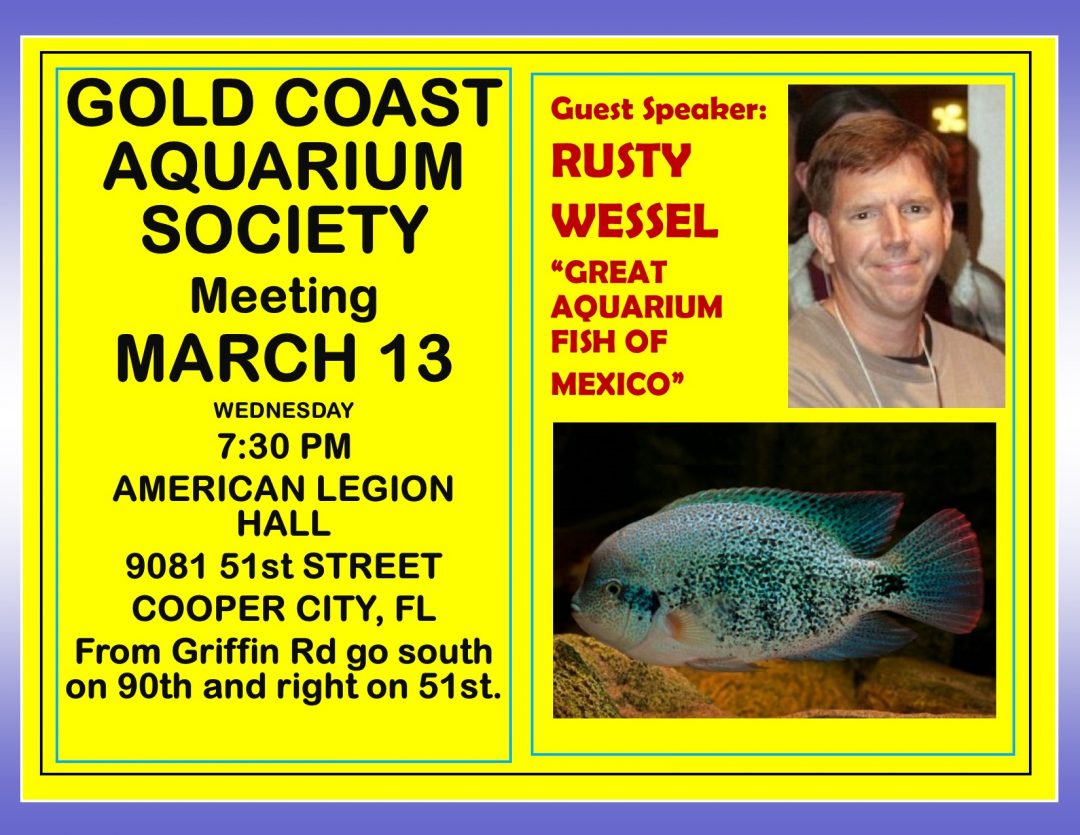 March 2019 Rusty Wessel Gold Coast Aquarium Society