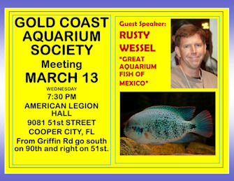 March 2019 Rusty Wessel. Great Aquarium Fish from Mexico