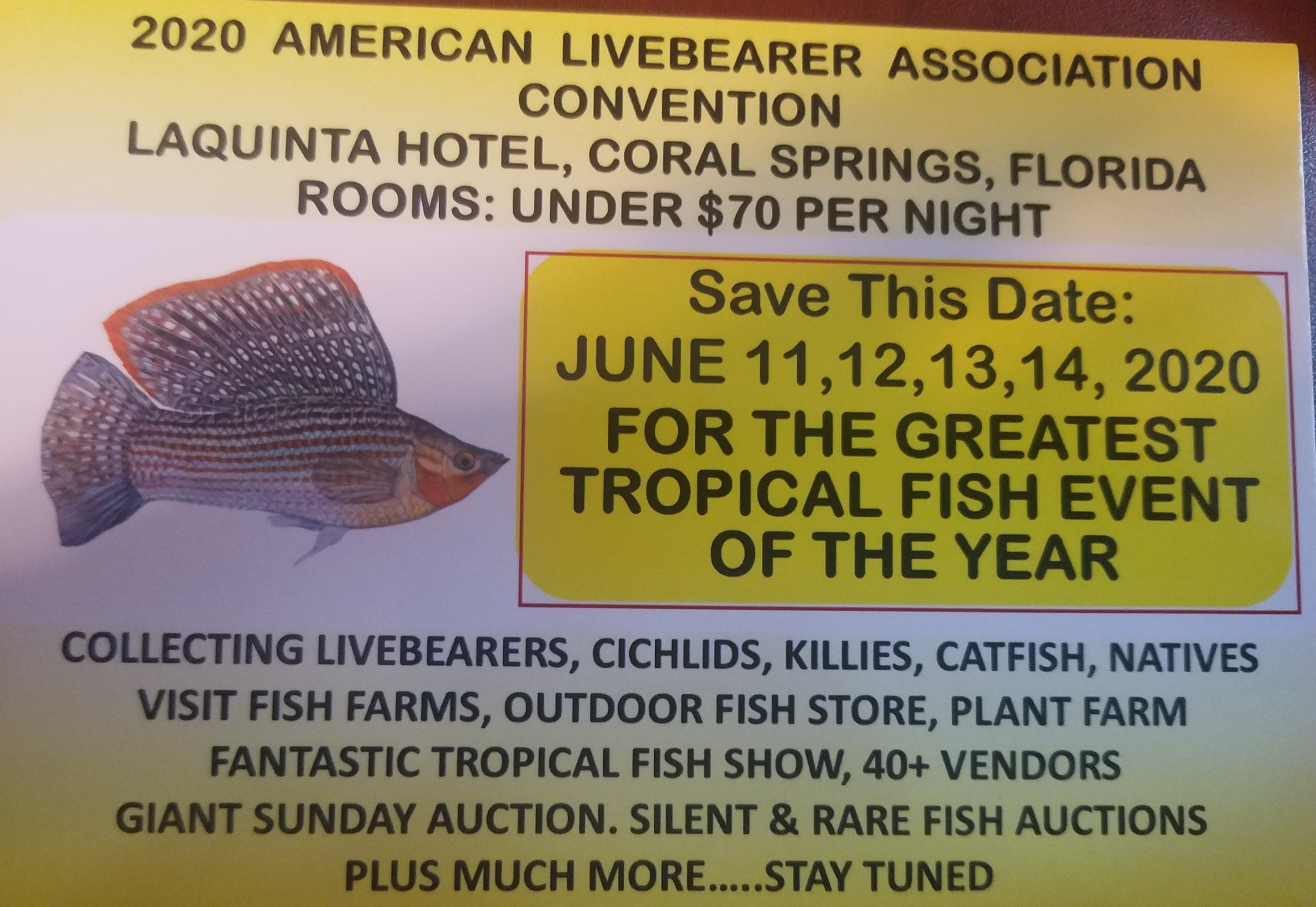 Events | Tropical Fish Club | Gold Coast Aquarium Society of South ...