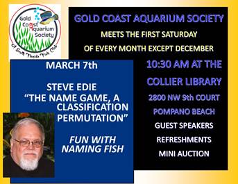 March 7th, 2020 – Steve Edie of The Name Game, a Classification Permutation