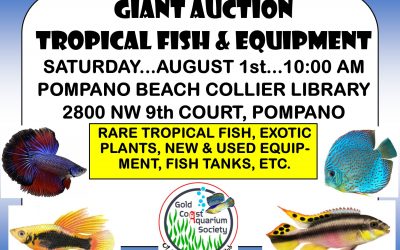 August 2020 Super Tropical Fish Auction