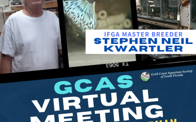 May 2nd, 2020 – Stephen Neil Kwartler – Virtual Meeting