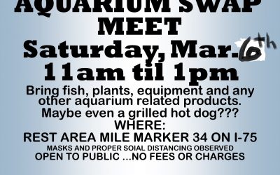 Aquarium Swap Meet – March 6th, 2021