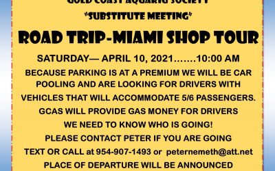 April 2021 – Miami Shop Tour