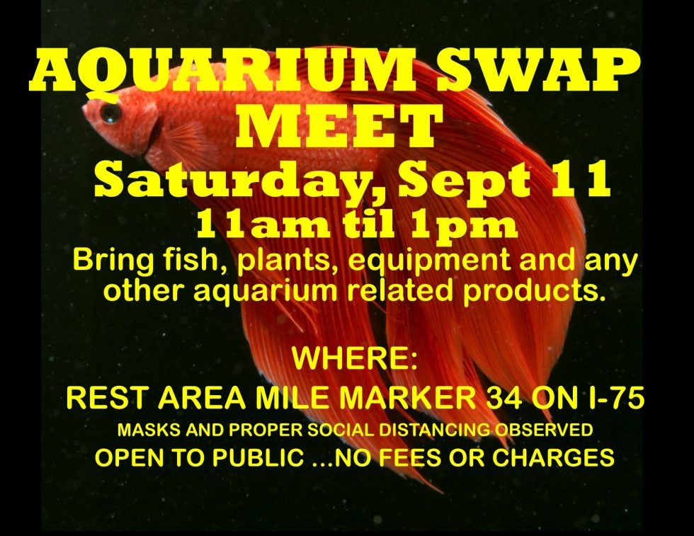 September 2021 Swap Meet Gold Coast Aquarium Society