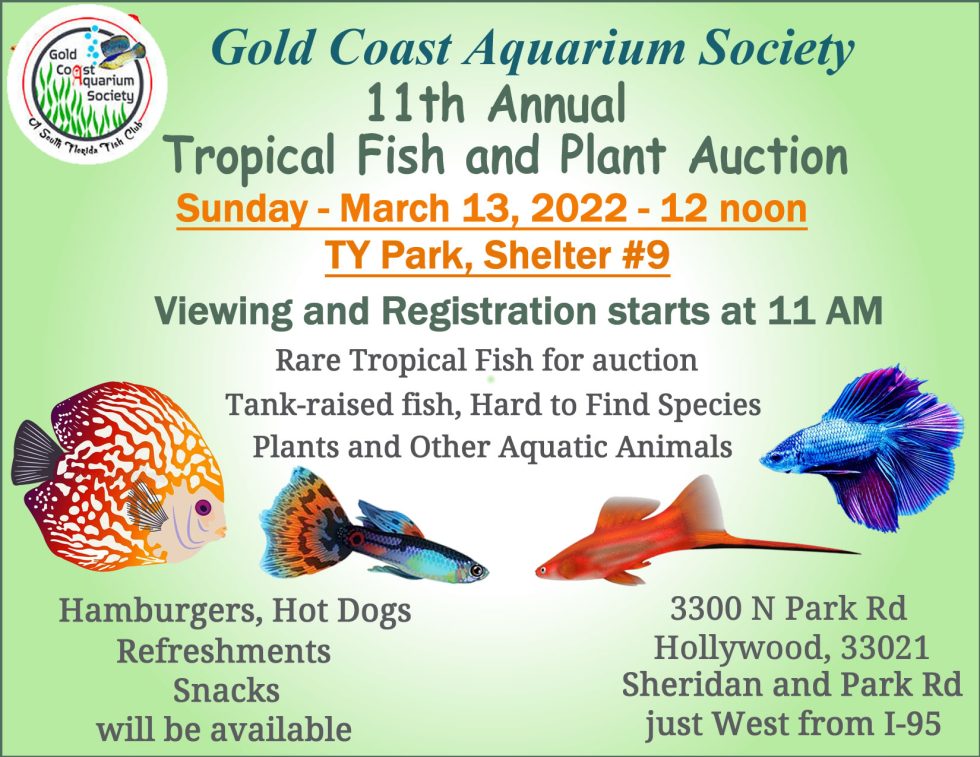 March 2022 11th Annual Auction Gold Coast Aquarium Society