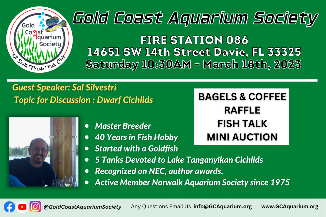 March 2023 Sal Silvestri Gold Coast Aquarium Society