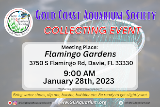 January 2023 – Fish Collecting Event