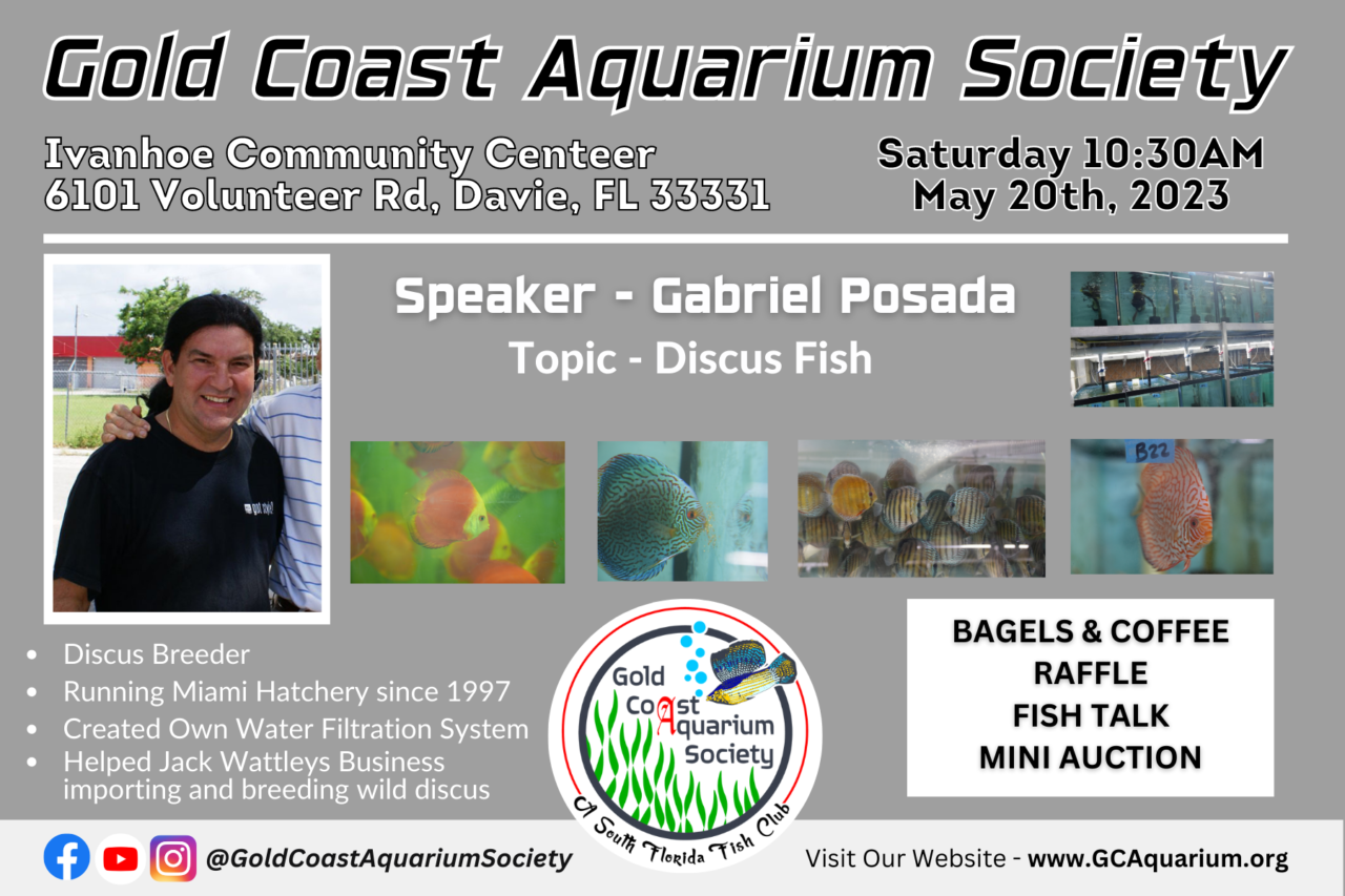 May 2023 — Gabriel Posada Gold Coast Aquarium Society