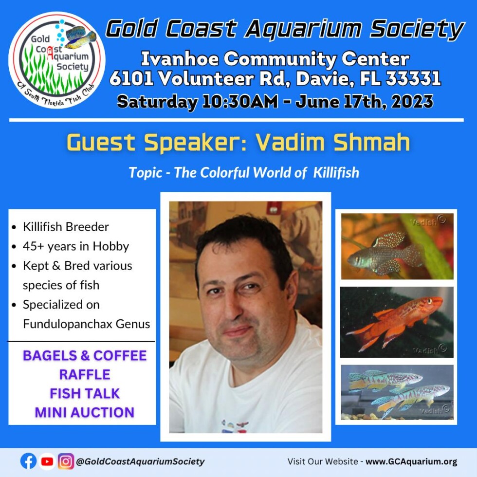 June 2023 — Vadim Shmah Gold Coast Aquarium Society