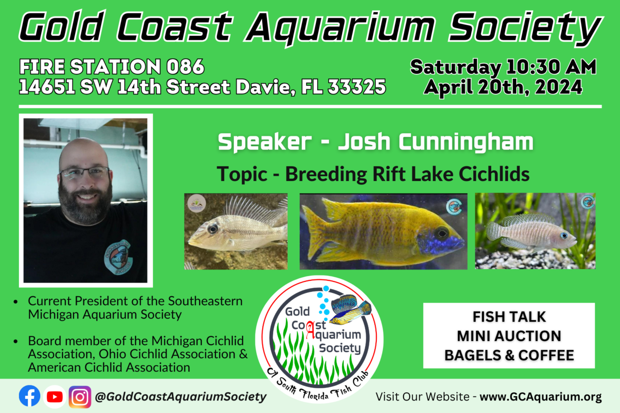 April 20 — Josh Cunningham Gold Coast Aquarium Society