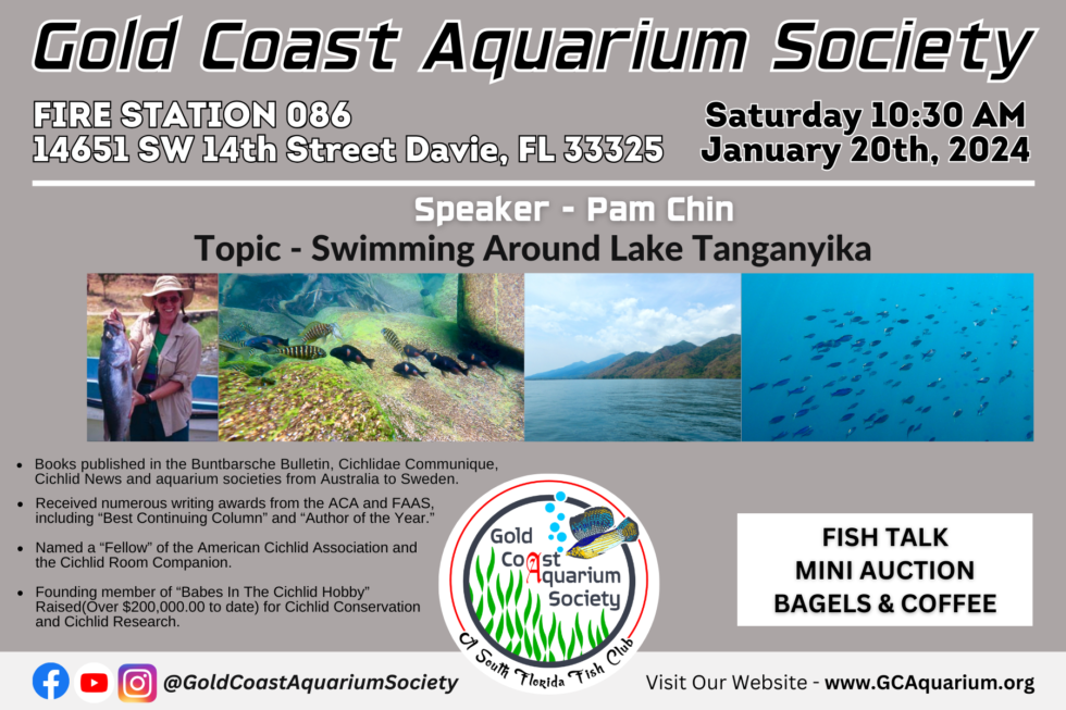 January 2024 — Pam Chin Gold Coast Aquarium Society
